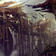 Illustration for article titled Guild Wars 2, Your Art is Simply Beautiful